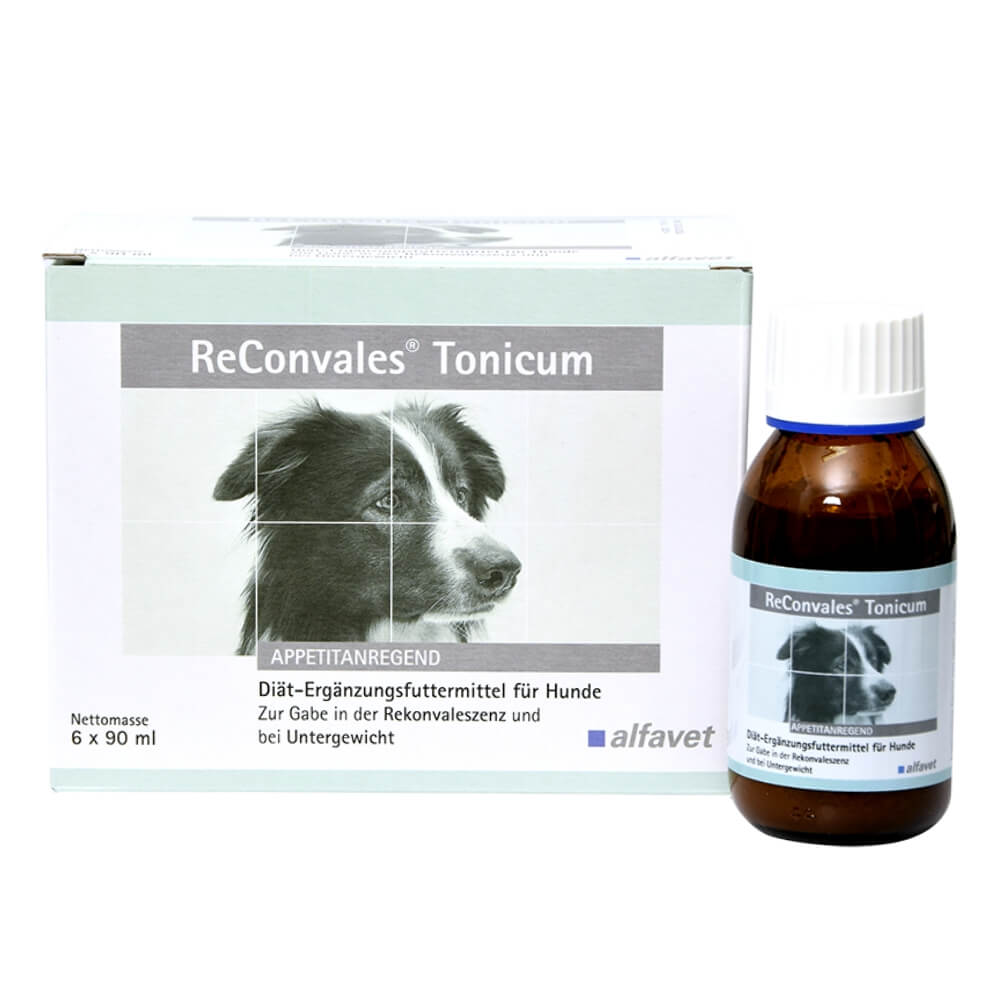 ReConvales® Tonicum Dog  -  gyors energia, vitamin és ásványi anyag pótlás kutyák részére